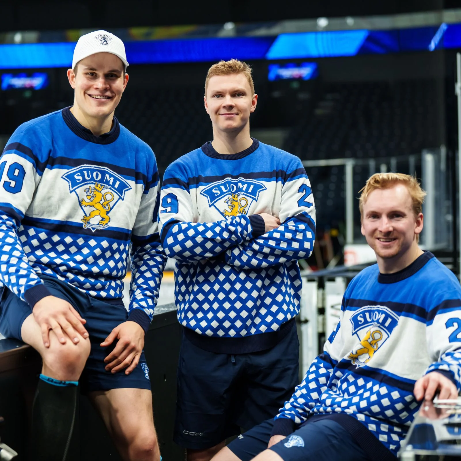 Leijonat neule - Image 3